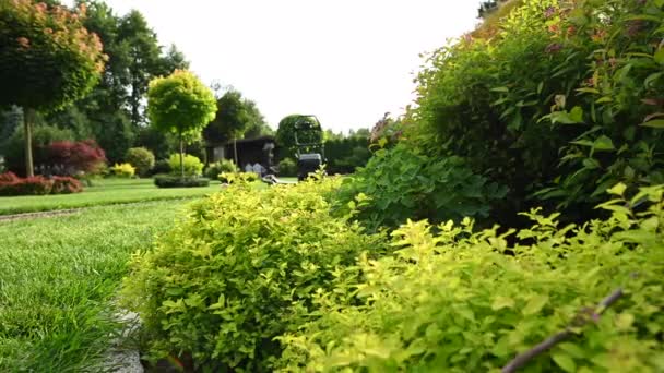 広大な住宅庭園の風景の中に緑豊かなカラフルな葉。トリミングが必要な芝生の真ん中で機械を刈る.  - 映像、動画