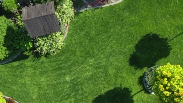 Groot en prachtig groen gazon en tuin op zonnige zomerdag. Luchtfoto van het landschap van prive-eigendom met waterput en vegetatie.   - Video