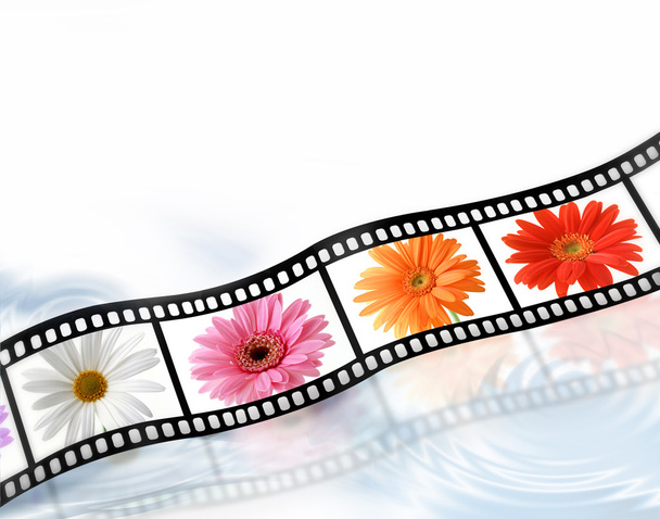 Film strip flowers - Photo, Image