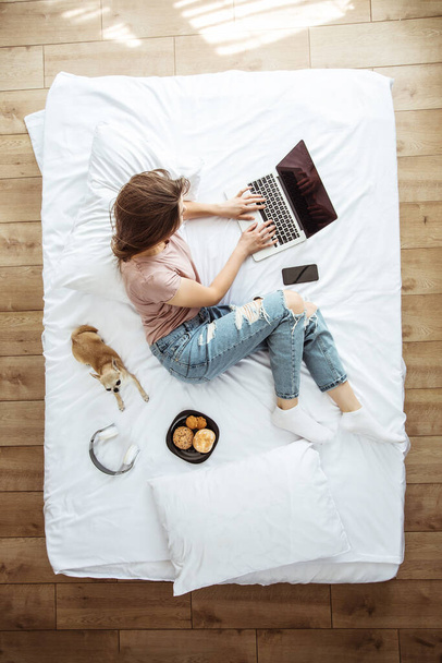Foto von oben in voller Länge von einer jungen brünetten Frau in lässiger Kleidung, während sie mit einem Laptop im Bett arbeitet. Glückliches Mädchen lernt mit Hund zu Hause - Foto, Bild