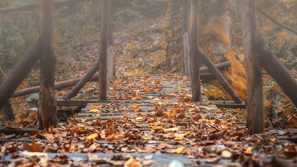 Sonbahar Avrupa ormanlarında derenin üzerindeki eski ahşap köprü. Yunanistan, Athos - Fotoğraf, Görsel