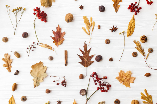 Autumn flat lay. Fall leaves, berries, acorns, walnuts, cinnamon and anise on white background. Minimalistic autumn natural pattern - Foto, afbeelding
