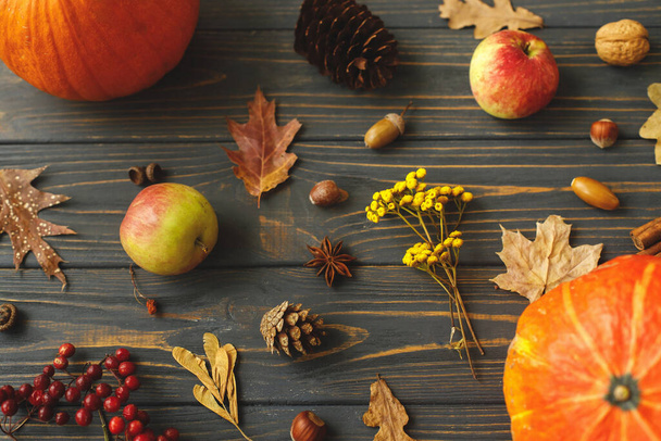 Herbsternte auf rustikalem Holz von oben. Kürbisse, Herbstblätter, Äpfel, Anis, Zapfen, Eicheln und Blumen auf dunklem Holzgrund. Herbstliche Grußkarte. - Foto, Bild
