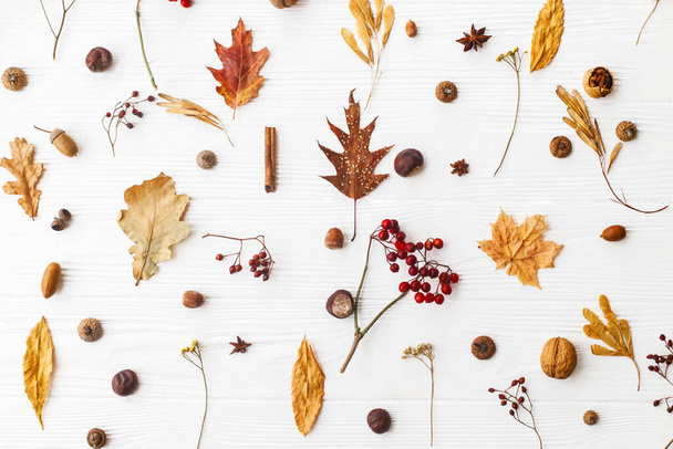 自然の森の詳細と秋のパターンは、フラットレイアウト。秋の葉、果実、アコーン、クルミ、シナモンと白い背景にアニス。こんにちは秋 - 写真・画像
