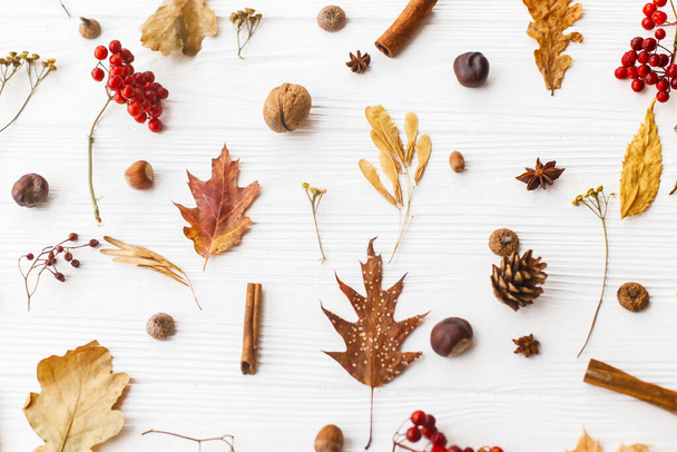Podzimní listy, bobule, žaludy, vlašské ořechy, skořice a anýz na bílém pozadí. Podzimní vzor s přírodními lesními detaily, rovinatá poloha. Hello Fall - Fotografie, Obrázek