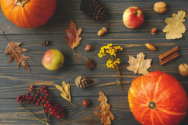 カボチャ、秋の葉、リンゴ、アニス、コーン、アコーン、果実は暗い木製の背景にあります。感謝祭のグリーティングカード。素朴な木の平らなレイアウトで秋の収穫. - 写真・画像