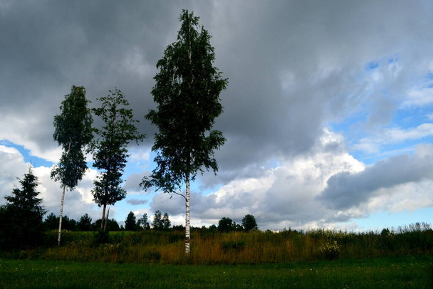Zwarte stormwolken in de zomer, Landschap met bomen en weiden op de voorgrond in Letland. Lage wolken - Foto, afbeelding