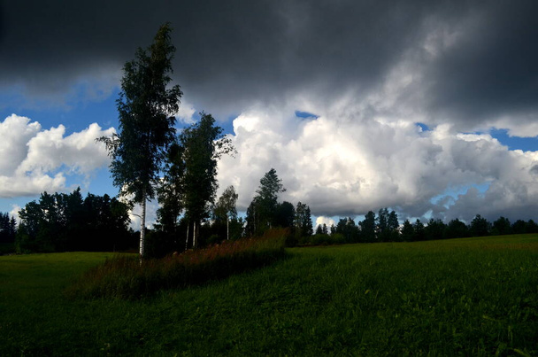 Nuvens negras de tempestade durante o verão, Paisagem com árvores e prados em primeiro plano na Letônia. Nuvens baixas - Foto, Imagem