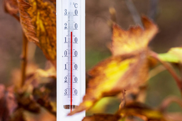 O termômetro no fundo das folhas de outono mostra 18 graus de calor. Outono quente - Foto, Imagem