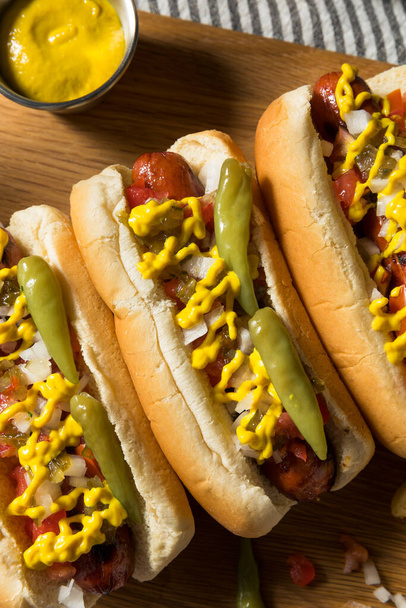 Homemade Chicago Style Hot Dog and Fries with Tomato Mustard Pepper - Valokuva, kuva