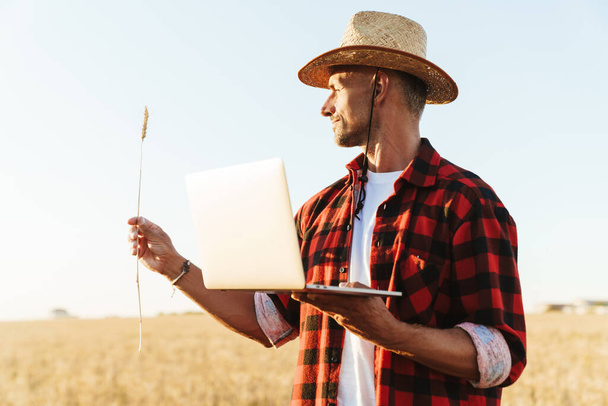 Imagen del hombre adulto sin afeitar con sombrero de paja trabajando con portátil mientras sostiene la espiga de trigo en el campo de cereales - Foto, Imagen