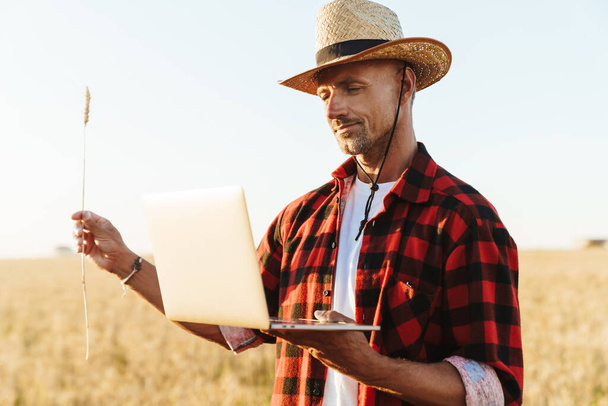 Image of unshaven adult man in straw hat working with laptop while holding wheat ear at cereal field - Foto, immagini