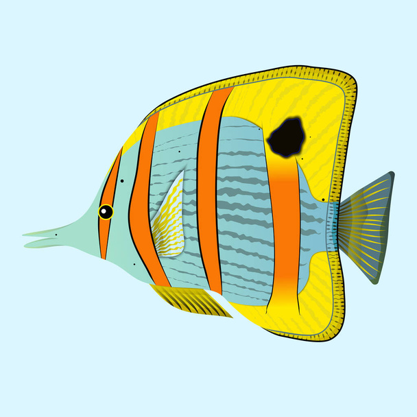 Butterfly fish. Exotic coral reef underwater animal. vector illustration. - Vektori, kuva