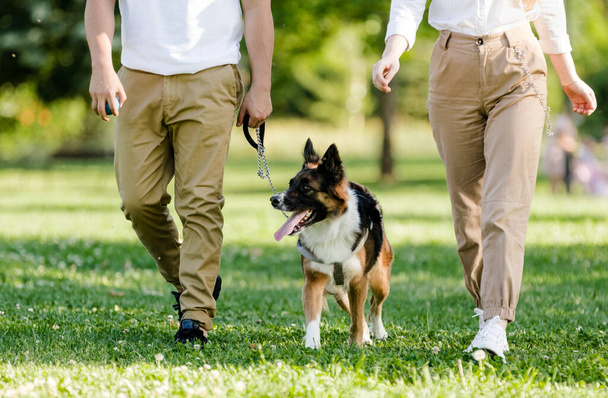 Pareja joven paseando con su perro Border Collie en un parque. Personas irreconocibles - Foto, imagen