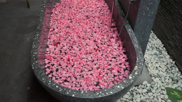 Relaksujące spa, kąpiel wypełniona wodą i płatkami kwiatów - Materiał filmowy, wideo
