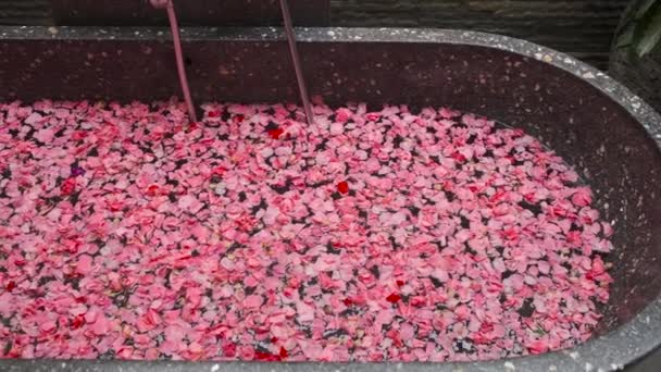 Spa with flower bath - Footage, Video