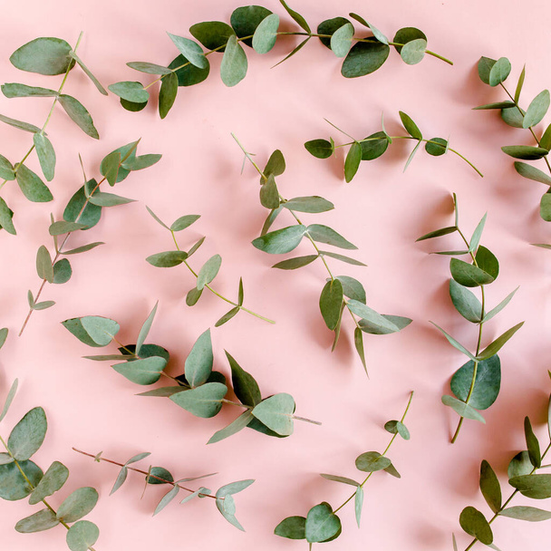 Pattern made of branches eucalyptus, leaves isolated on pink background. Flat lay, top view. floral concept - Фото, изображение