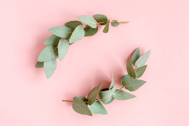Wreath frame made of branches eucalyptus and leaves isolated on pink background. lay flat, top view - Foto, afbeelding