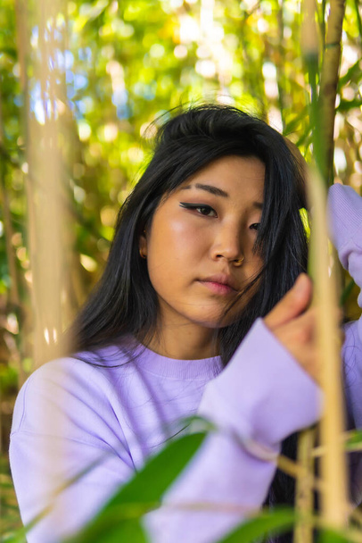 Стиль жизни молодой азиатки внутри красивого бамбука в парке. Отступление юной брюнетки в розовом свитере китайской национальности, азиатской национальности - Фото, изображение