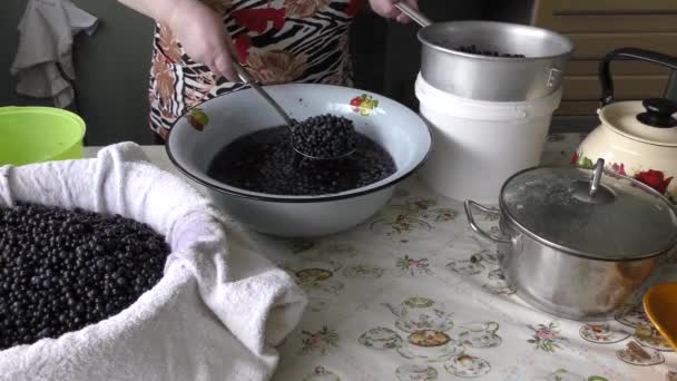 μια γυναίκα καθαρίζει μούρα από τα σκουπίδια - Πλάνα, βίντεο