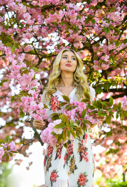 Girl enjoy sakura in garden. Reasons why flowers always make women happy. Happy spring day. Cherry tree. Good vibes. Floral aroma. Harmony and female energy. Spring blossoming tree. Spring symbol - Foto, imagen