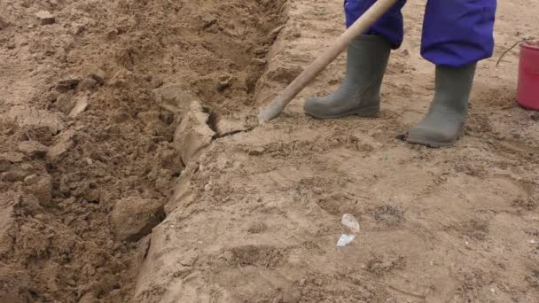 Ένας άντρας σκάβει το έδαφος με ένα φτυάρι. - Πλάνα, βίντεο