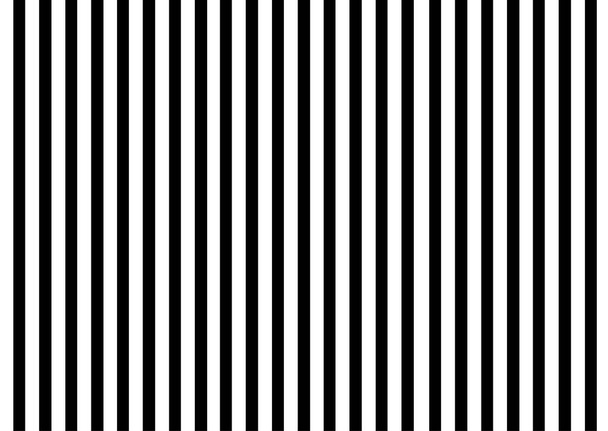 függőleges párhuzamos vonalak, csíkok.egyenes vonal fekete-fehér minta tervezési háttér - Fotó, kép