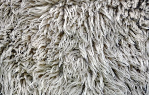 cobertor de lã
 - Foto, Imagem