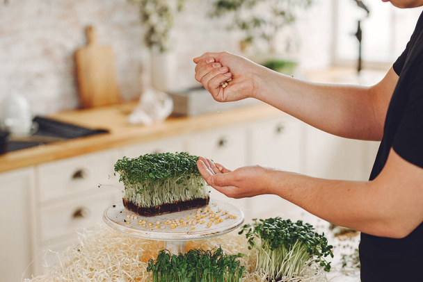 Heap of beet micro greens on table background - Zdjęcie, obraz