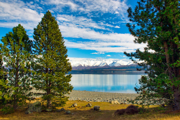 Dennenbomen met bergen en het meer weerspiegelen het turquoise water Lake Pukaki, Nieuw-Zeeland - Foto, afbeelding