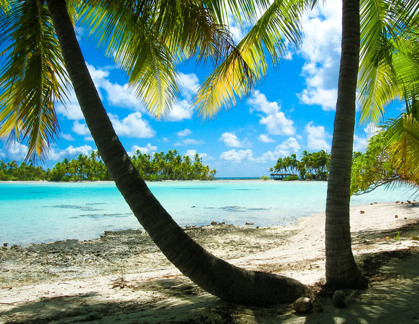 Kék Lagúna strand Tahitin, Polinézia - Fotó, kép