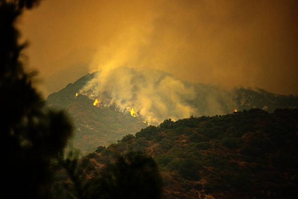 Fire in the mountains of California. Fires near Los Angeles. Smoke pollution in US air. Dangerous fire due to global warming and climate change. - Photo, Image