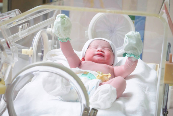Novorozené dítě dívka uvnitř inkubátoru v nemocnici porodnice - Fotografie, Obrázek