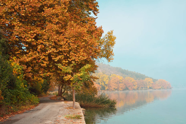 Herfst scene met smalle straat rond het meer - Foto, afbeelding