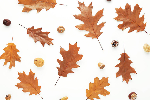 Autumn leafs with acorn, walnut and chestnut on white background - Foto, imagen