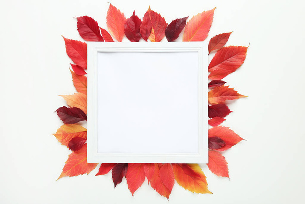 Autumn red leafs with wooden frame on white background - Photo, image