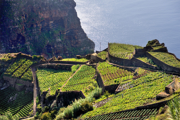 Madeiran saaren etelärannikko, Rancho - Portugali
 - Valokuva, kuva