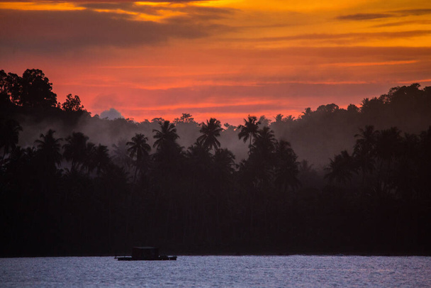 Ciemne sylwetki palm i łodzi - Zdjęcie, obraz