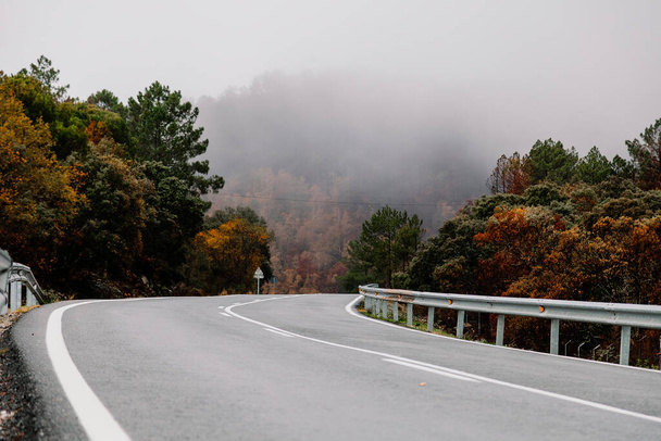 Strada regionale che attraversa una foresta in autunno a Madrid, Spagna - Foto, immagini