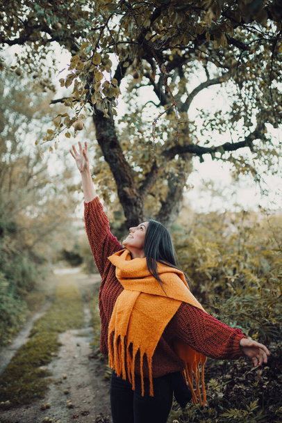 Νεαρή γυναίκα προσπαθεί να πιάσει ένα αχλάδι από το δέντρο - Φωτογραφία, εικόνα