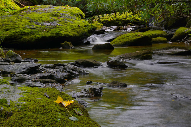 Motion blurred water flowing over moss-covered rocks in Laurel Creek North Carolina - Photo, Image