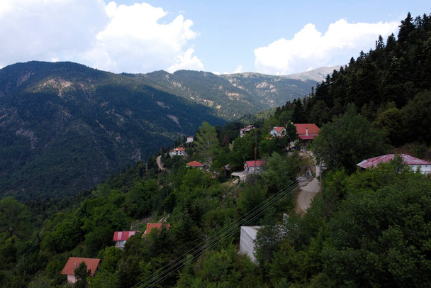 Letecký pohled na obec Lefka nebo Paloukova, jak byla dříve pojmenována, je obec postavená v krásném přírodním prostředí, mezi lesem jedlí v Řecku 1. srpna 2020 - Fotografie, Obrázek