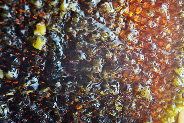 Στάγδην σταγόνα μελιού μέλισσας από εξαγωνικές κηρήθρες γεμάτες με χρυσό νέκταρ. Honeycombs καλοκαιρινή σύνθεση που αποτελείται από σταγόνα φυσικό μέλι, στάγδην σε κερί μέλισσα πλαίσιο. Στάγδην σταγόνα μελιού μελισσών σε κηρήθρες. - Φωτογραφία, εικόνα