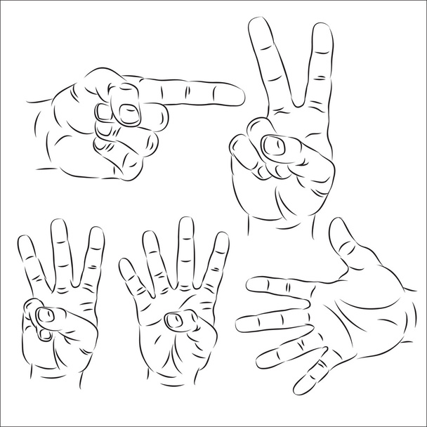 manos - Vector, imagen