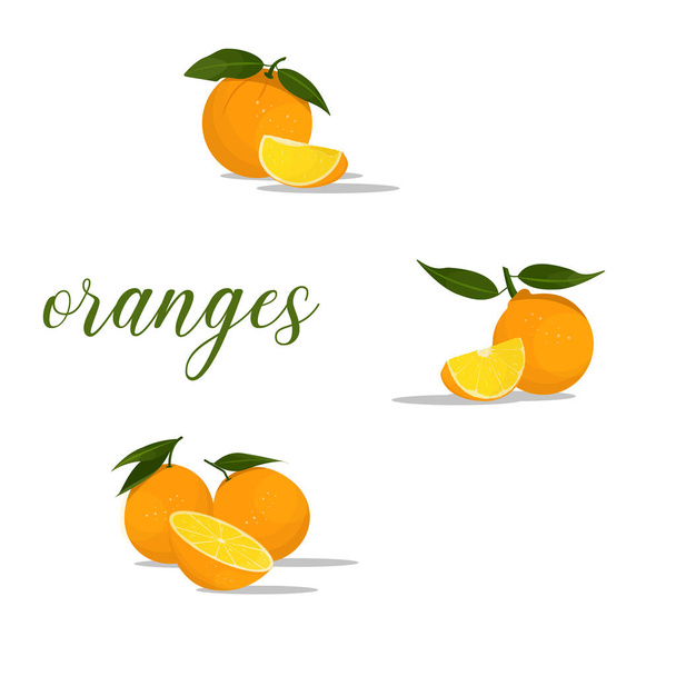 set of oranges in different positions with leaves - Vektor, kép