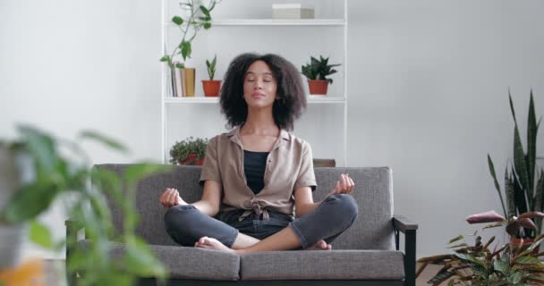 Ruhige, entspannte Afrikanerin, die zu Hause mit geschlossenen Augen und überkreuzten Beinen auf dem Sofa sitzt, meditiert und Yoga-Asana praktiziert. Gemischtes Rassenmädchen übt achtsames Durchatmen zu Hause im Raum mit Pflanzen - Filmmaterial, Video