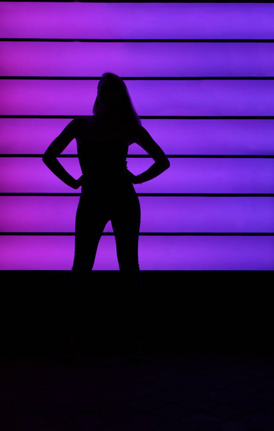Club style photo of girl in a black corset and jeans.  Set is a black  silhouette. Picture has dark  tone. Wall of neon has violet   color.  - Photo, Image