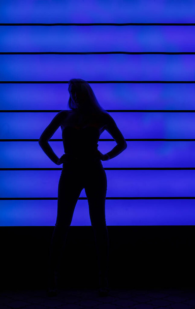 Club style photo of girl in a black corset and jeans.  Set is a lit with a blue color. Picture has dark  tone. Wall of neon has blue color.  - Photo, Image