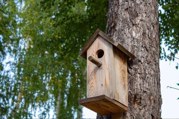 Ptačí budka pro lesní ptáky na jehličnanech - Fotografie, Obrázek