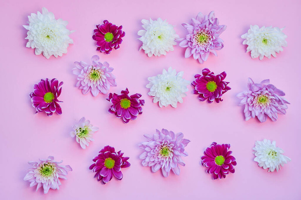 virág minta krizantém virágok rózsaszín háttér - Fotó, kép
